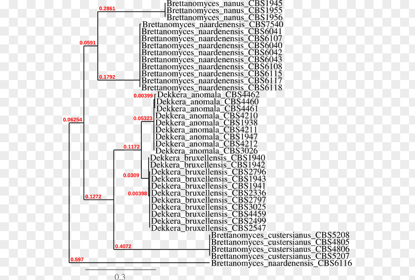 Line Drawing Pattern PNG