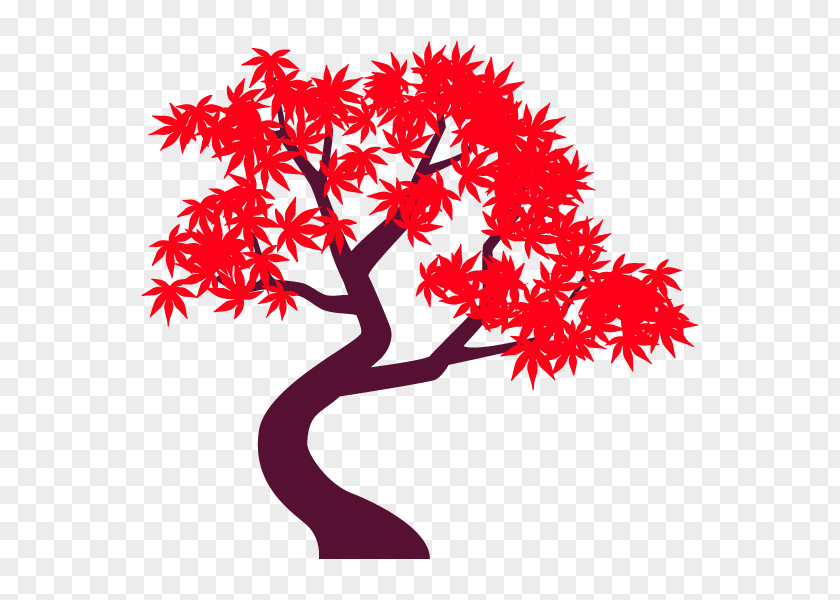 Maple Tree Illustration Leaf Branch PNG