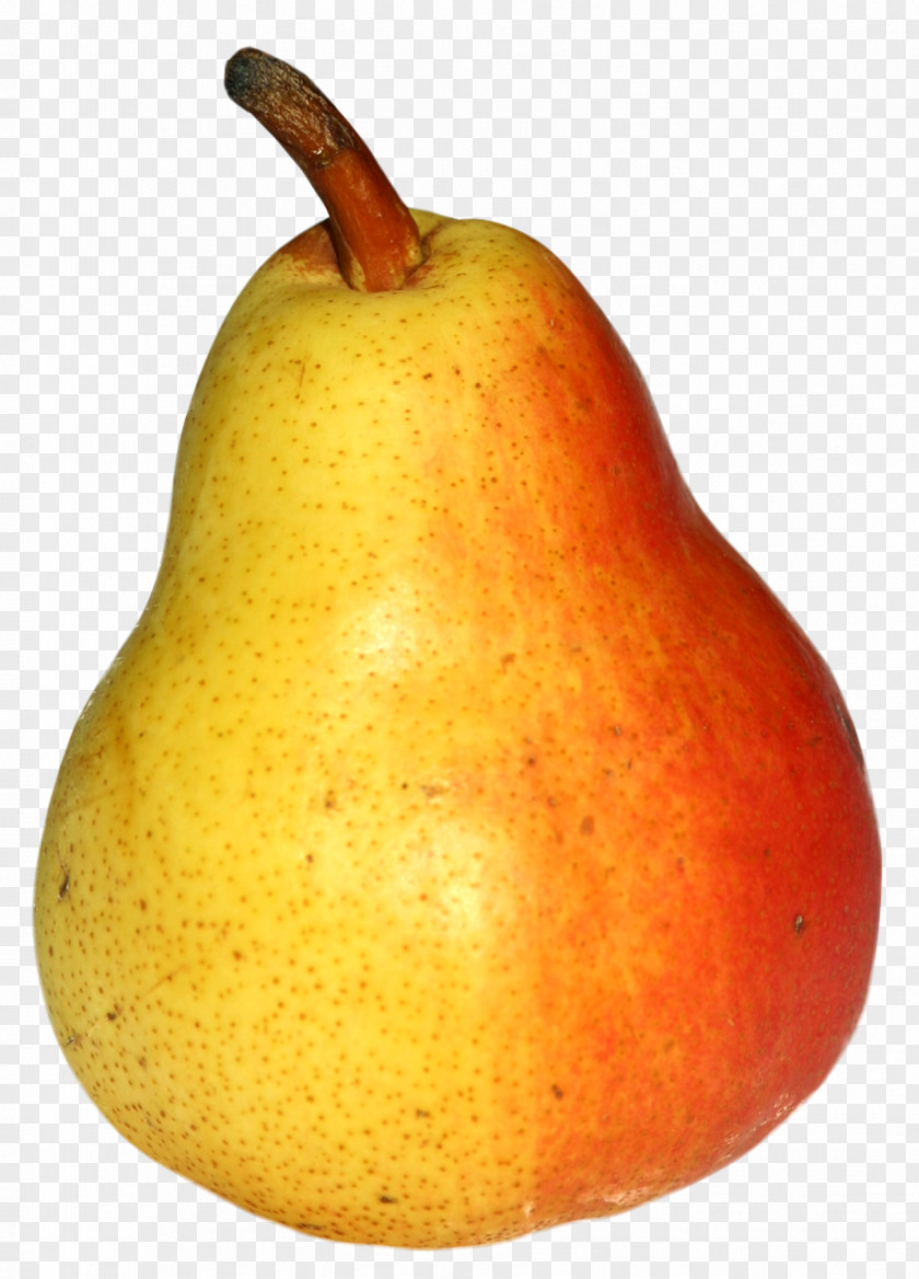 Pear Asian Fruit PNG