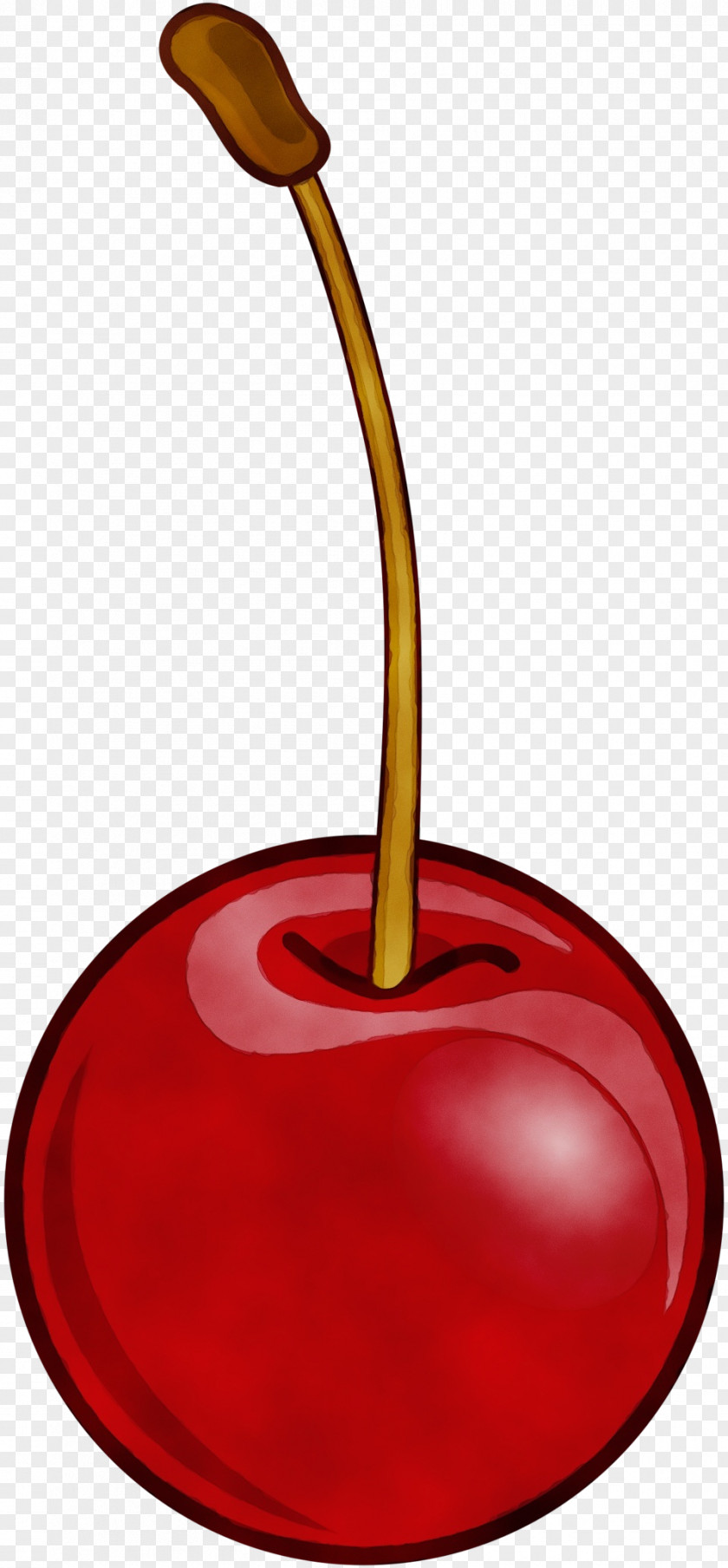 Plant Cherry Clip Art Red PNG