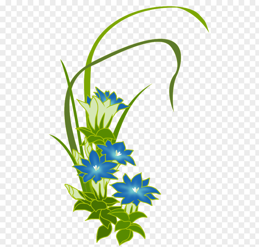 Bekary Gentiana Acaulis Flower Desktop Wallpaper Clip Art PNG