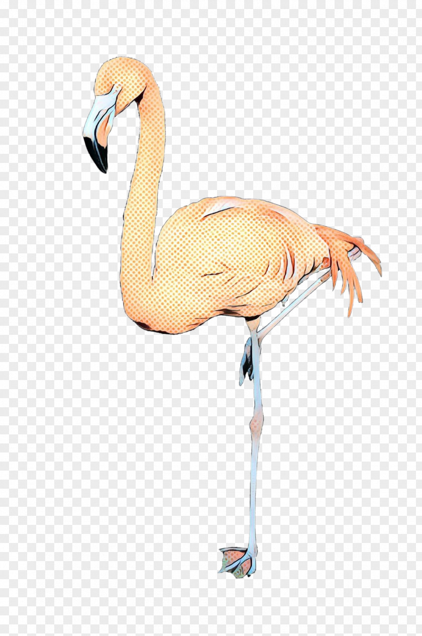 Bird Crane Beak Neck PNG