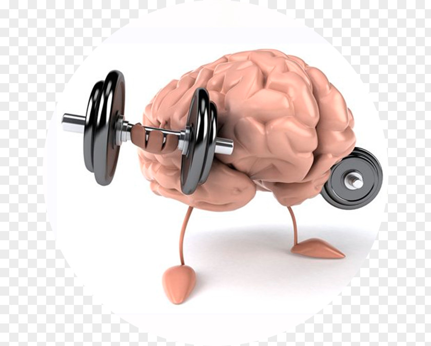 Brain Muscle Mind Physical Strength Health PNG