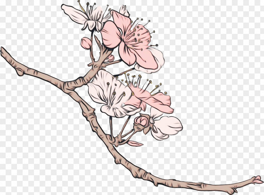 Cherry Blossom Cherries Clip Art Illustration PNG