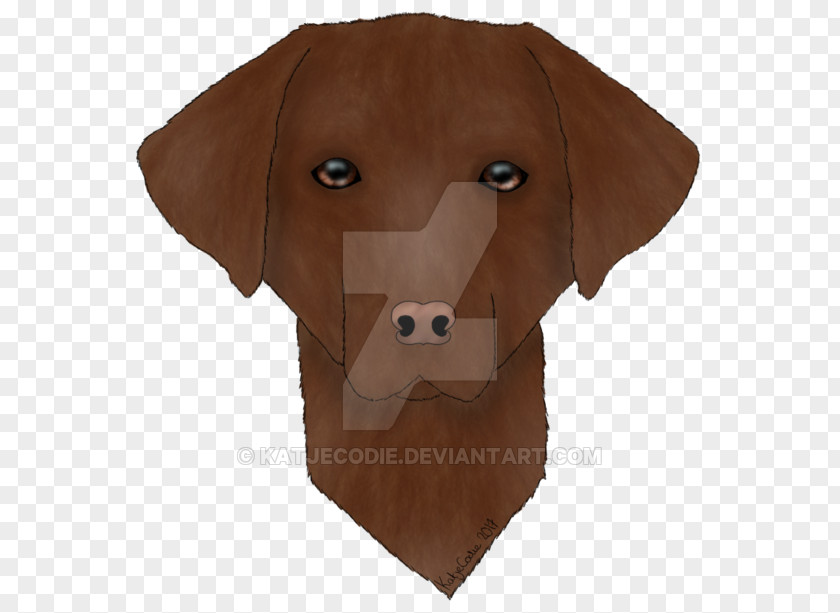 Chocolate Labrador Dog Stuffed Animals & Cuddly Toys Snout PNG