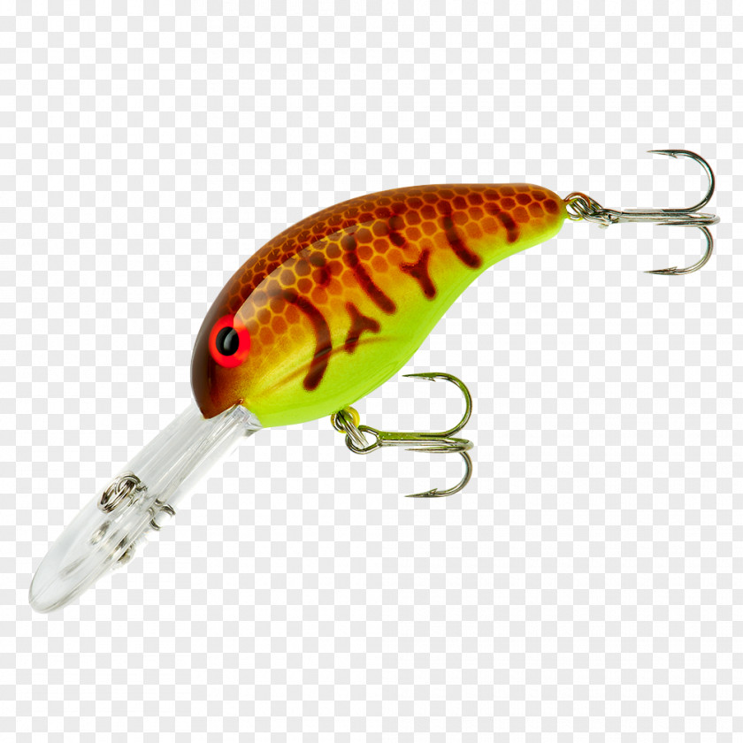 Fishing Baits & Lures Tackle Bass PNG