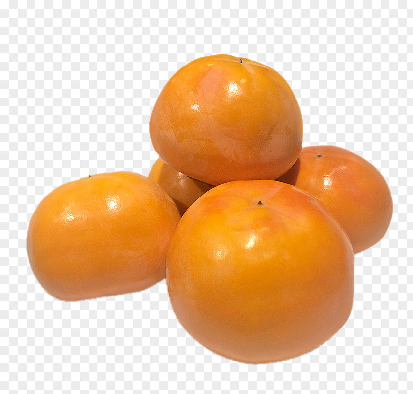 Persimmon Sign Plum Tomato Dekopon Fruit Orange PNG