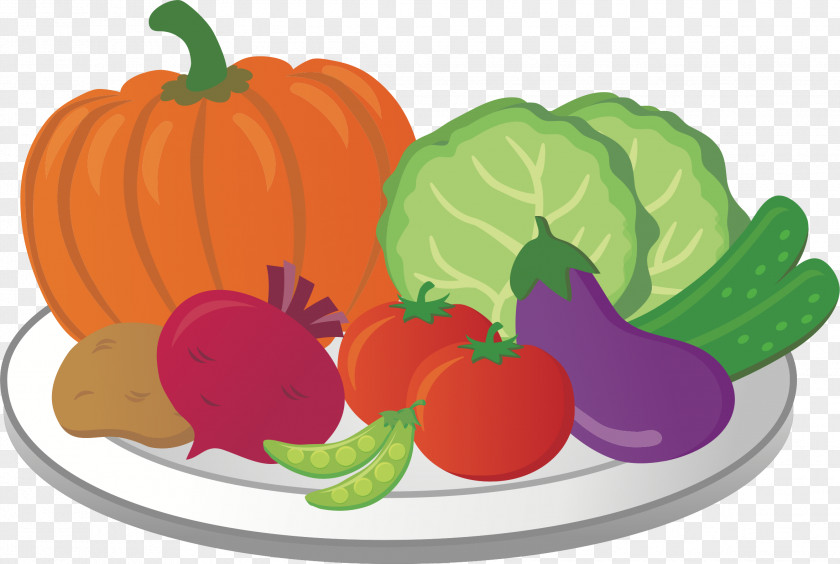 Pumpkin Clip Art Illustration Vegetable Food PNG
