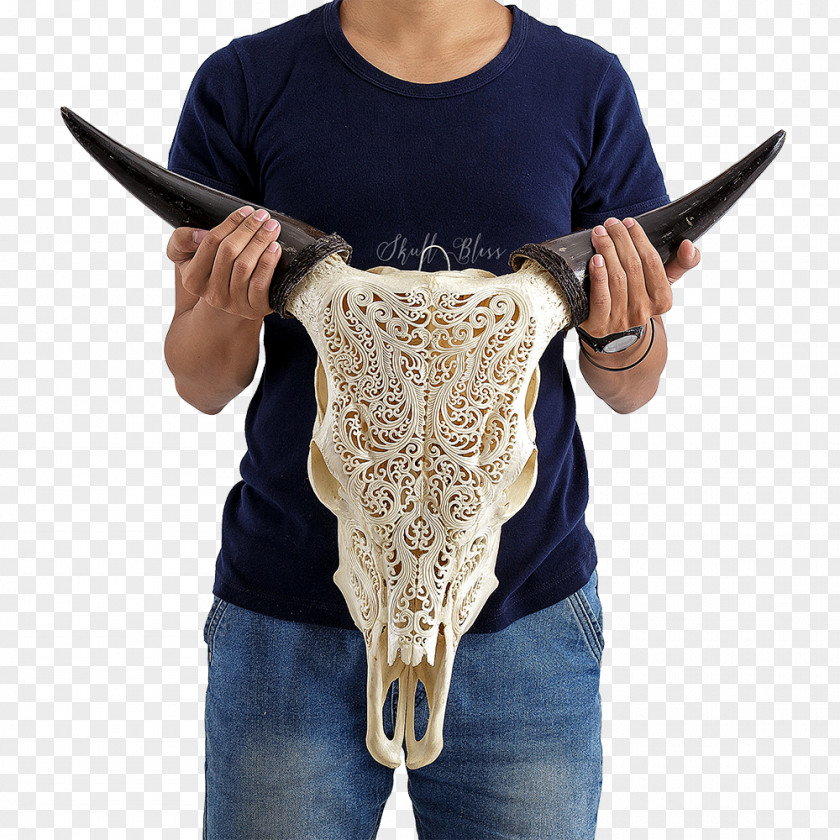 Skull XL Horns Cattle Barbed Wire PNG