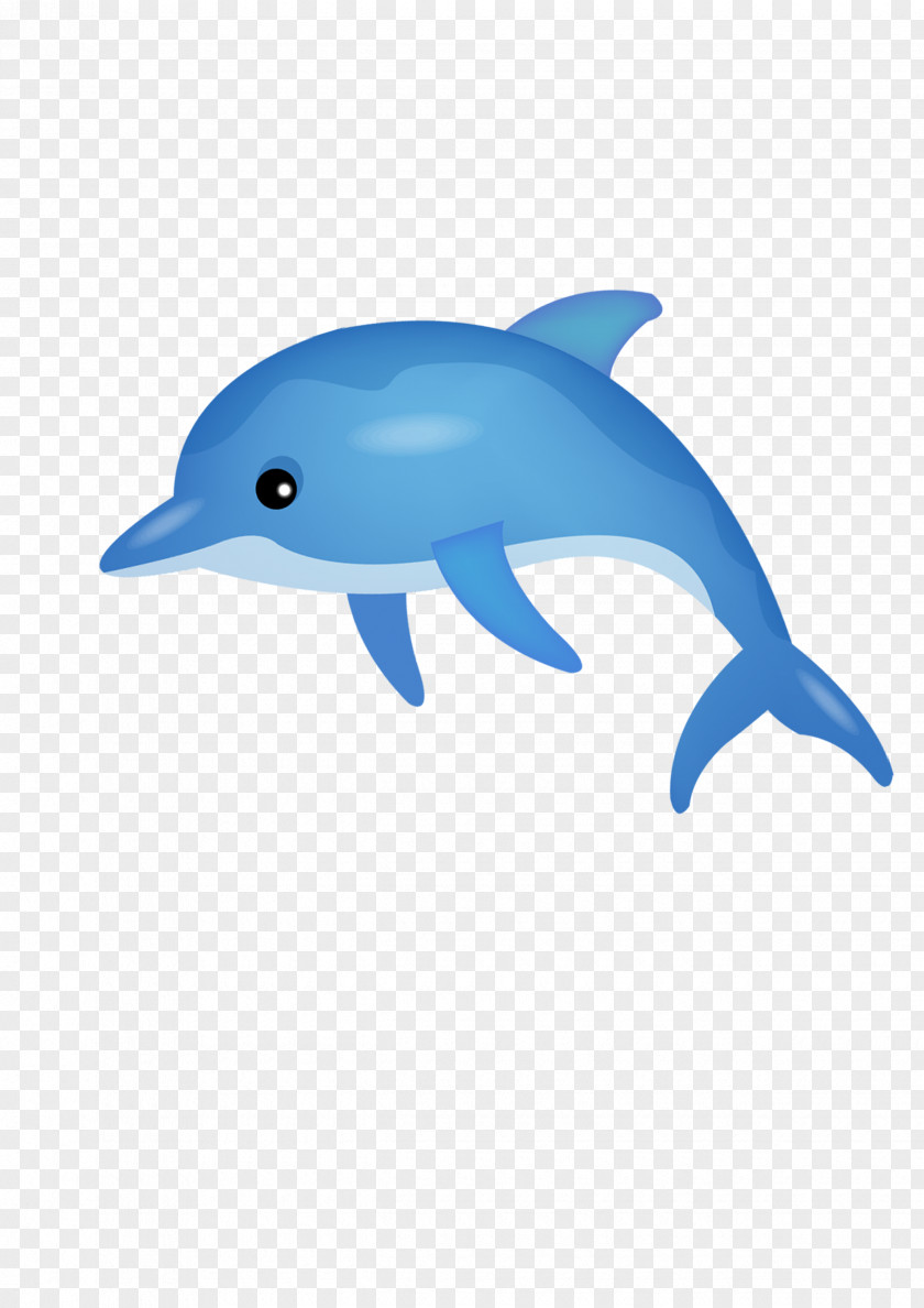 Cartoon Dolphin Common Bottlenose Tucuxi Short-beaked PNG