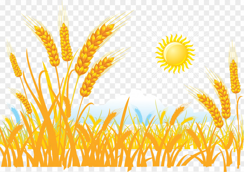 Harvest The Grain Of Wheat Sticker Clip Art PNG
