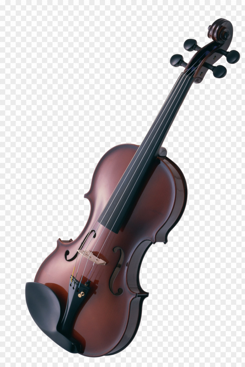 Instruments Violin Musical String Cello PNG