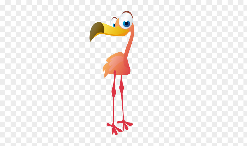 Ostrich Bird Cartoon Room Illustration PNG