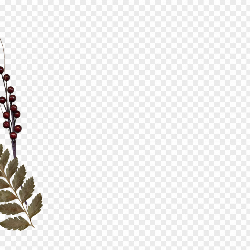 Parterre Leaf Twig Body Jewellery Pine PNG