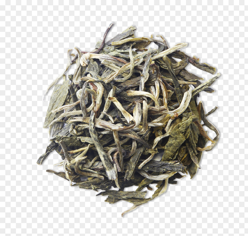Tea Golden Monkey White Green Dianhong PNG
