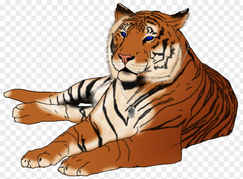 Tiger Lion Whiskers Illustration Clip Art PNG