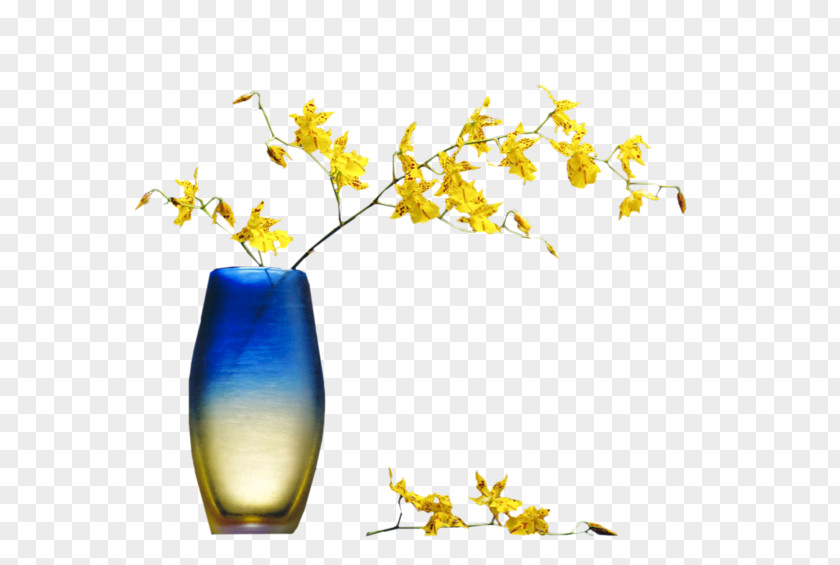 Vase Cut Flowers Still Life Photography PNG