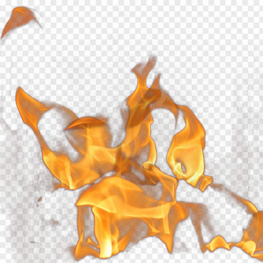 A Group Of Flames PNG