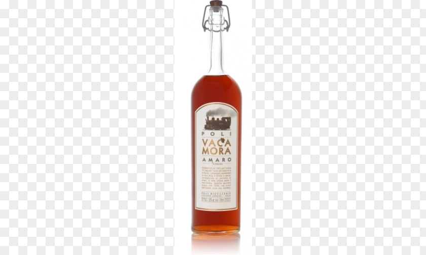 Apricot Liqueur Amaro Distilled Beverage Grappa Apéritif PNG