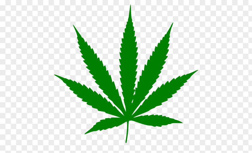 Cannabis Ruderalis Medical Clip Art Leaf PNG