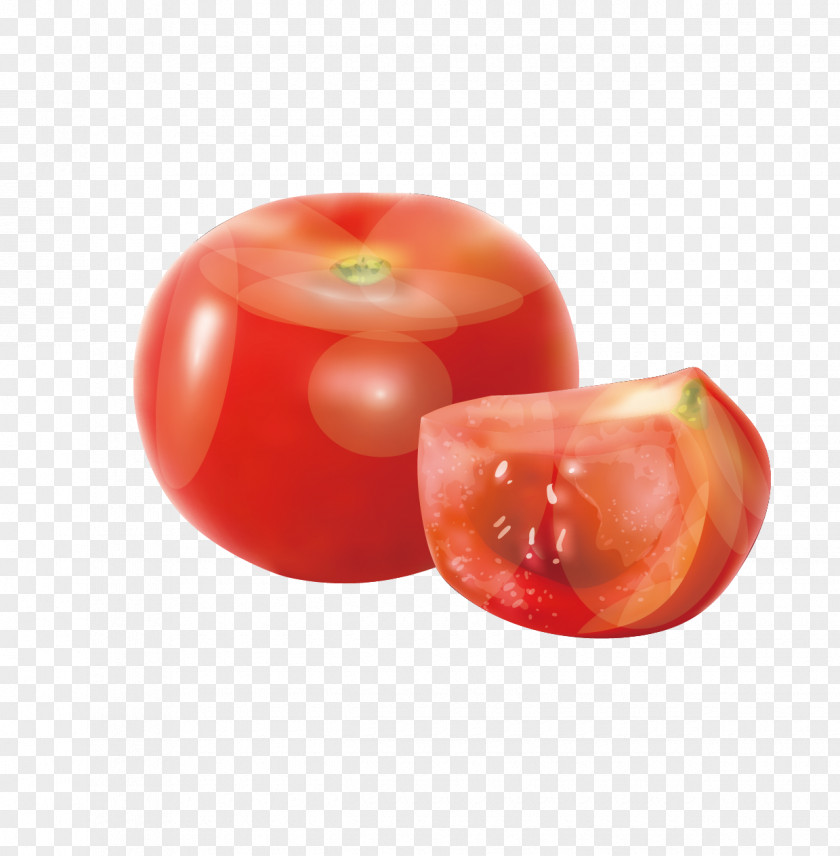 Cartoon Painted Fresh Tomatoes Tomato Vegetable PNG