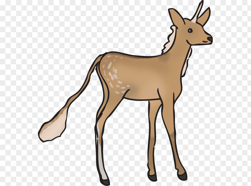 Elk Herd Reindeer Clip Art Antelope PNG