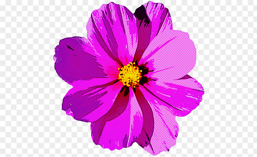 Flower Petal Violet Plant Purple PNG