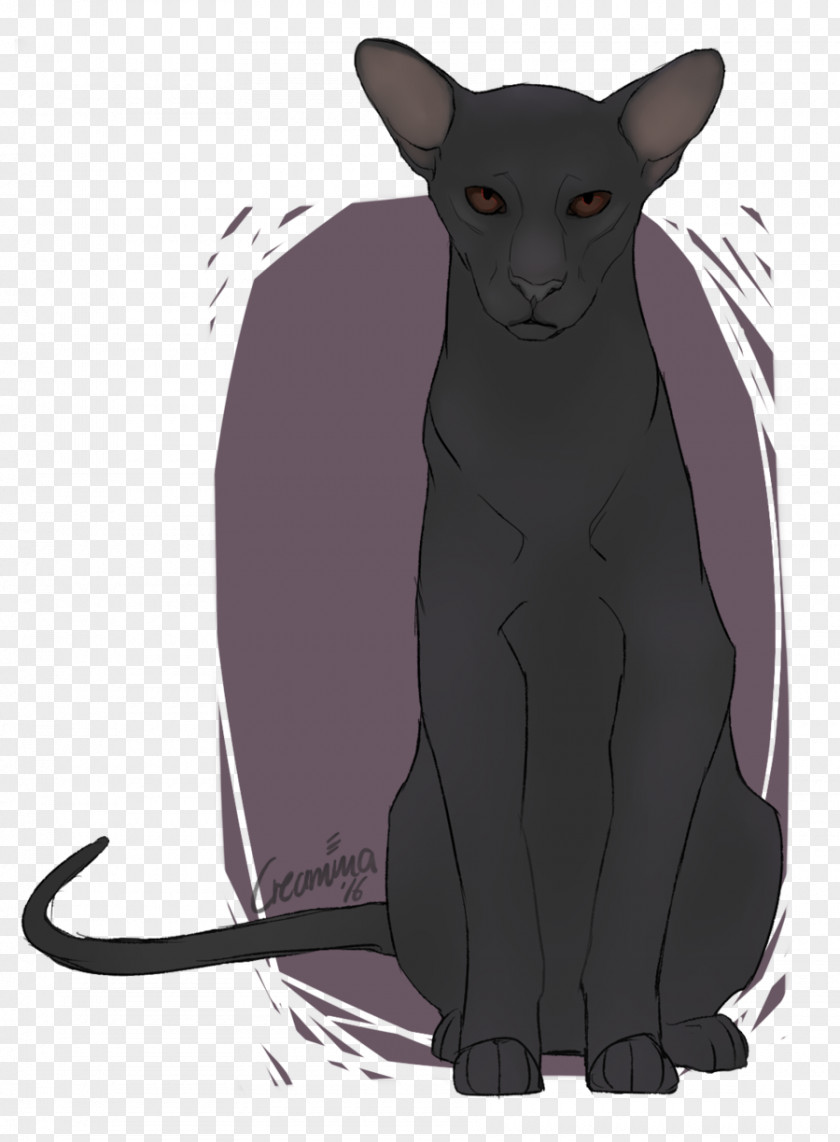 Kylo Korat Whiskers Domestic Short-haired Cat Tail Cartoon PNG