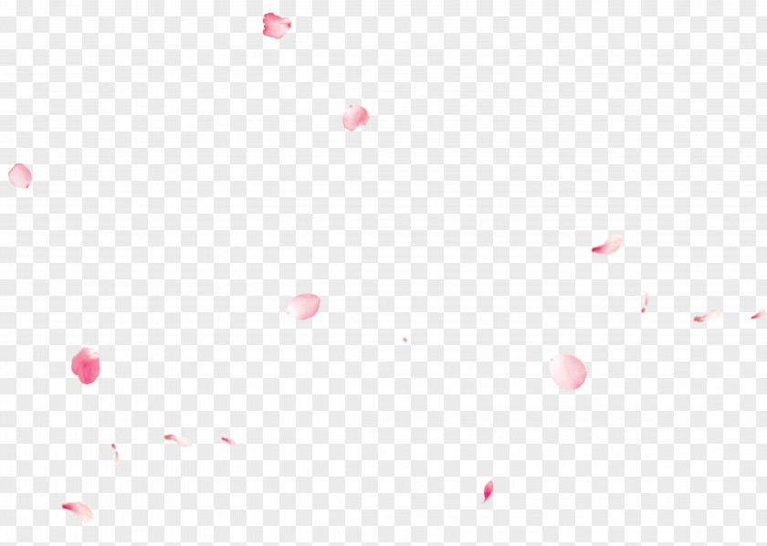 Pink Dream Petals Floating Material Light Red Sky Desktop Wallpaper Valentine's Day PNG