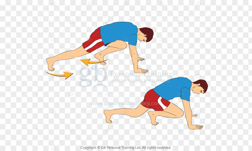 Plank Muscles Worked Physical Fitness Bodyweight Exercise Aerobic Strength Training PNG