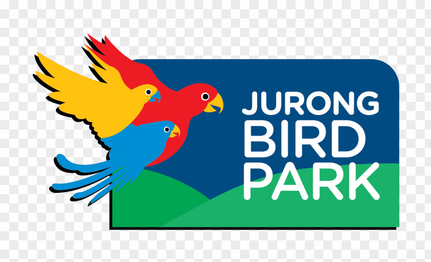 Bird Jurong Park Night Safari, Singapore River Safari Zoo Wildlife Reserves PNG