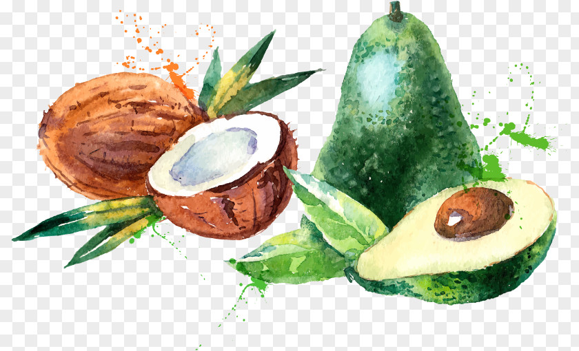 Coconut Mango Fruit Vector Material Water Milk Watercolor Painting PNG