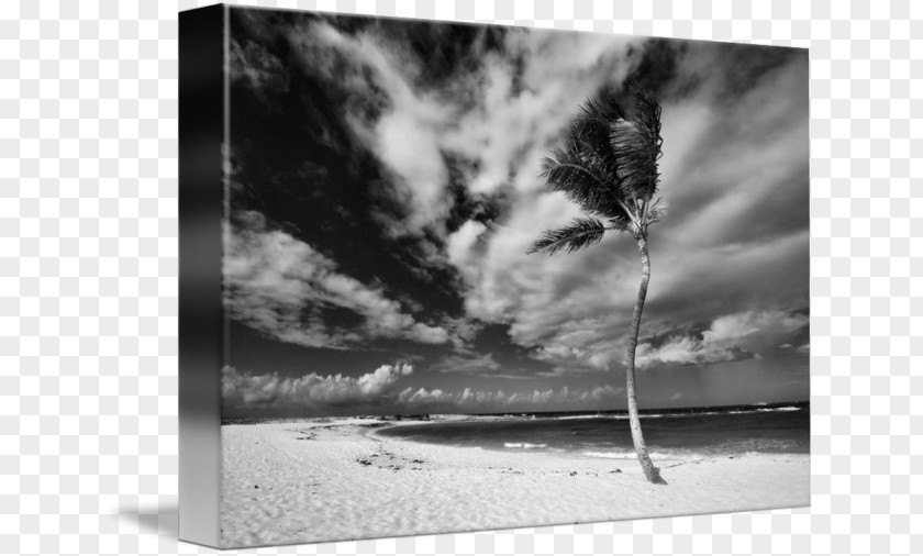 Paradise Cove Beach Paper Still Life Photography Picture Frames PNG