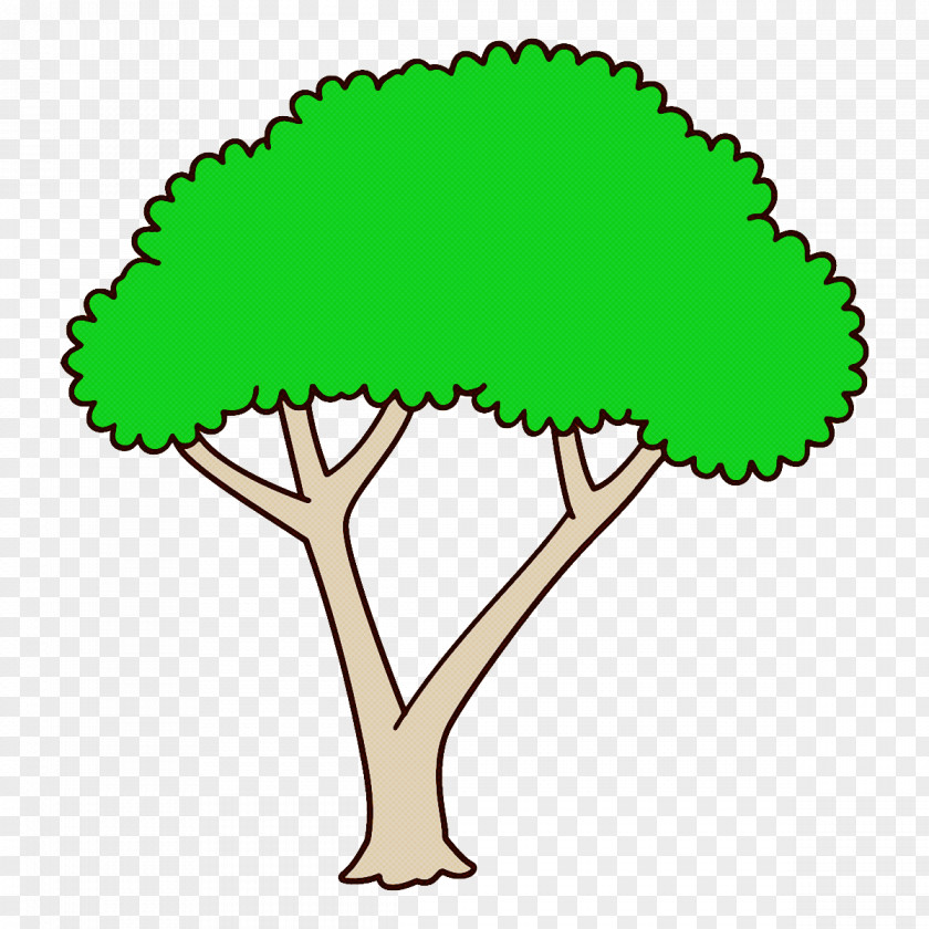 Plant Leaf Green Tree PNG