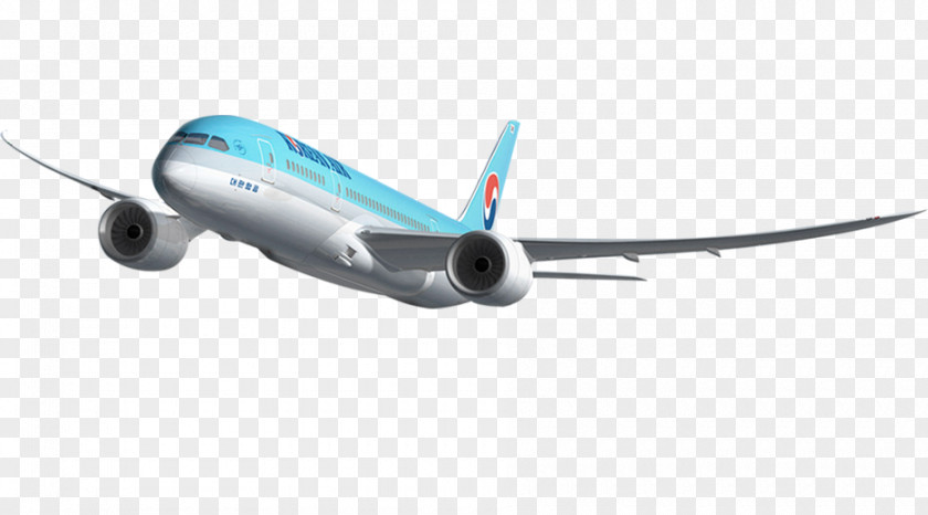 Airplane Boeing 737 Next Generation 787 Dreamliner 767 Aircraft PNG