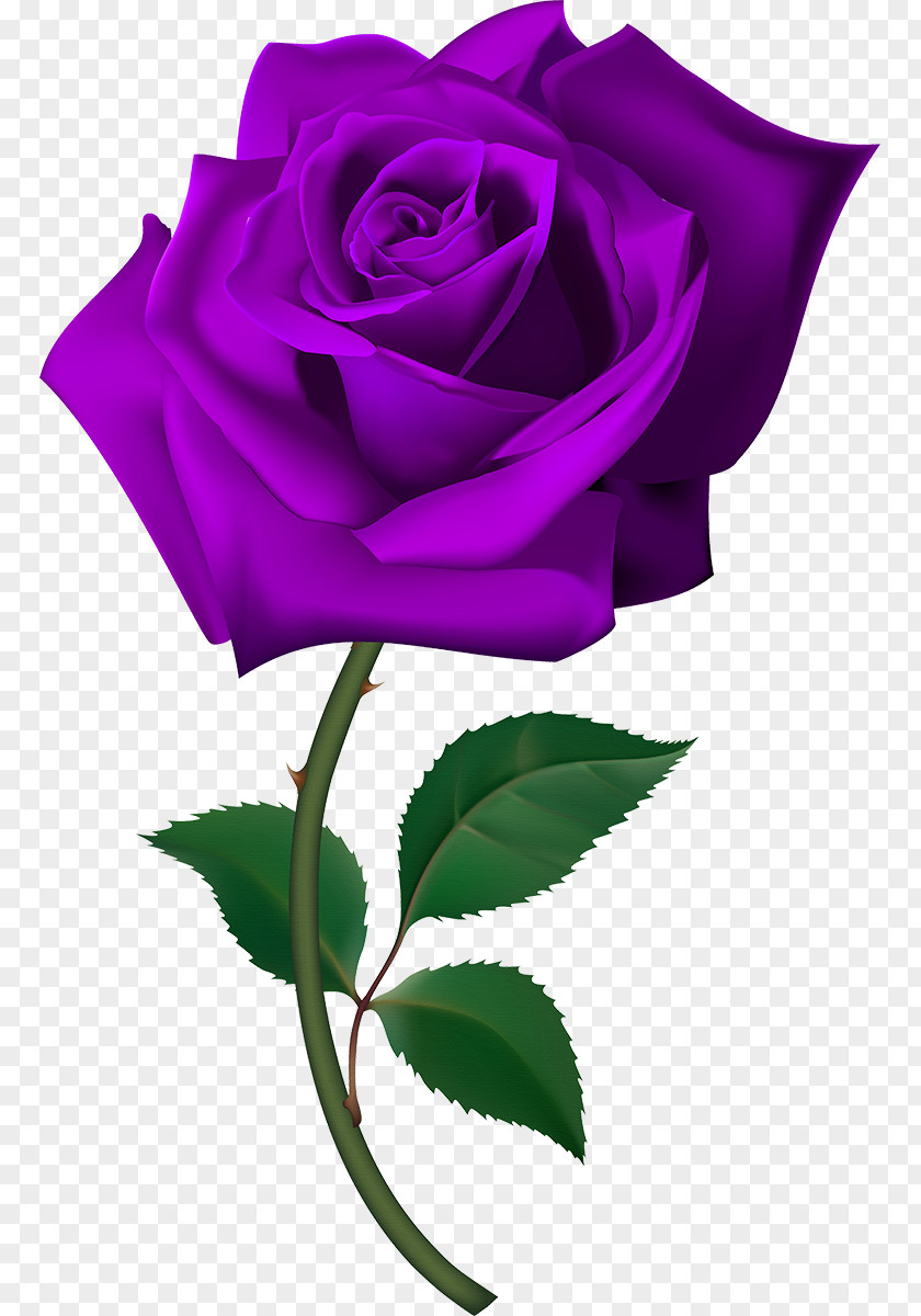 Free Rose Clip Art PNG