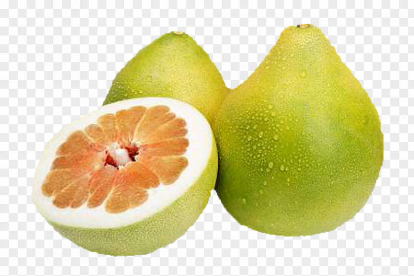 Pamela Pomelo Tropical Fruit Citrus × Sinensis PNG