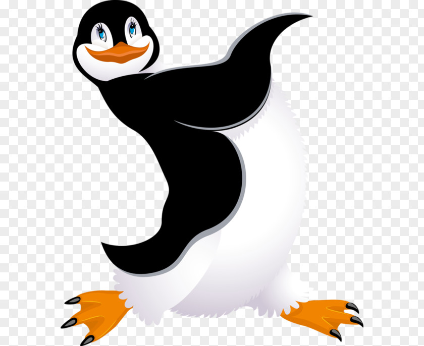 Penguin King Bird Clip Art PNG