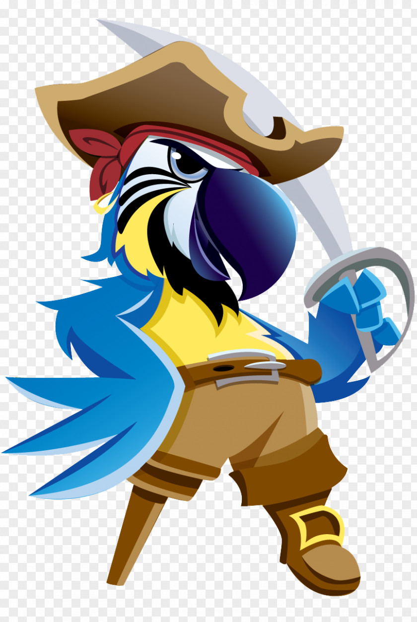 Pirate Parrot Photos Piracy Cartoon PNG