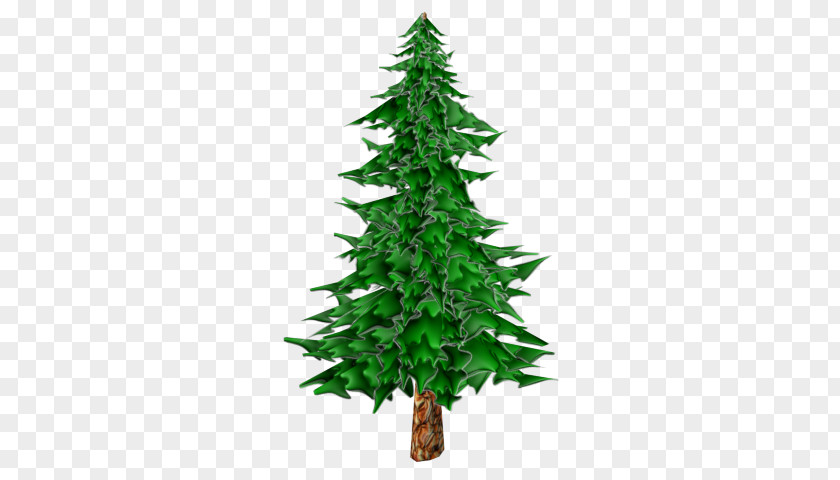 Tree Pine Fir Larix Decidua Clip Art PNG