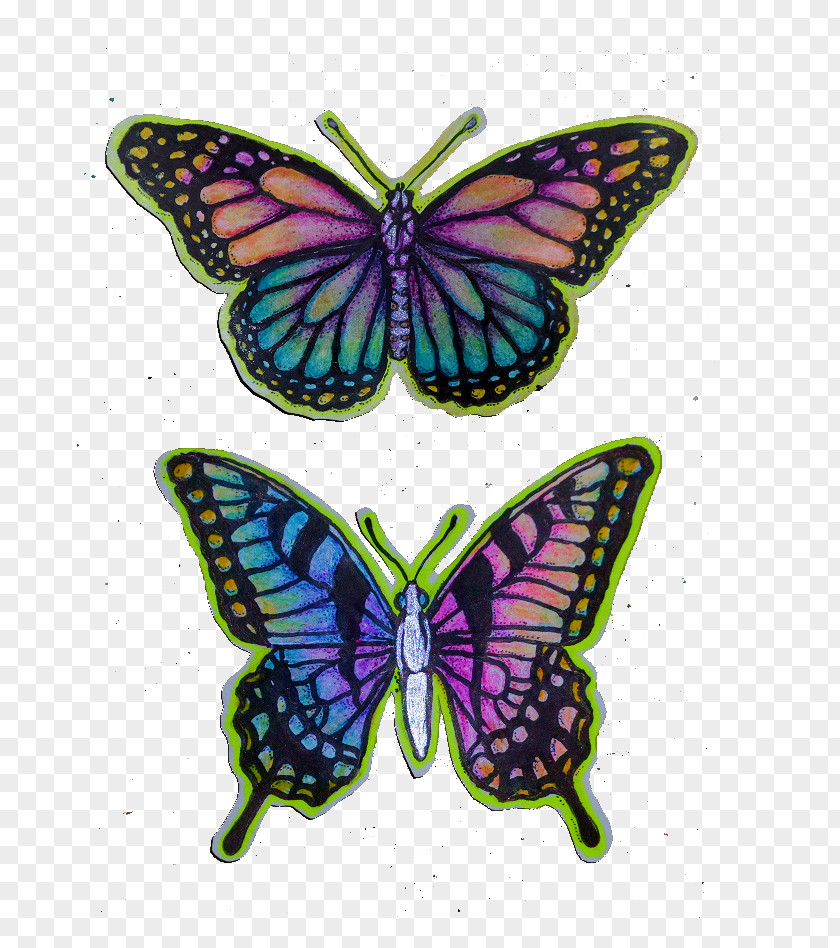 Anxious Butterfly Bumper Sticker Wall Decal PNG