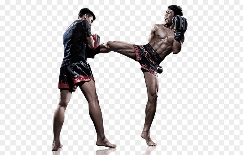 Boxing Kickboxing Combat Sport Martial Arts PNG