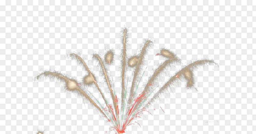 Fireworks Feather PNG