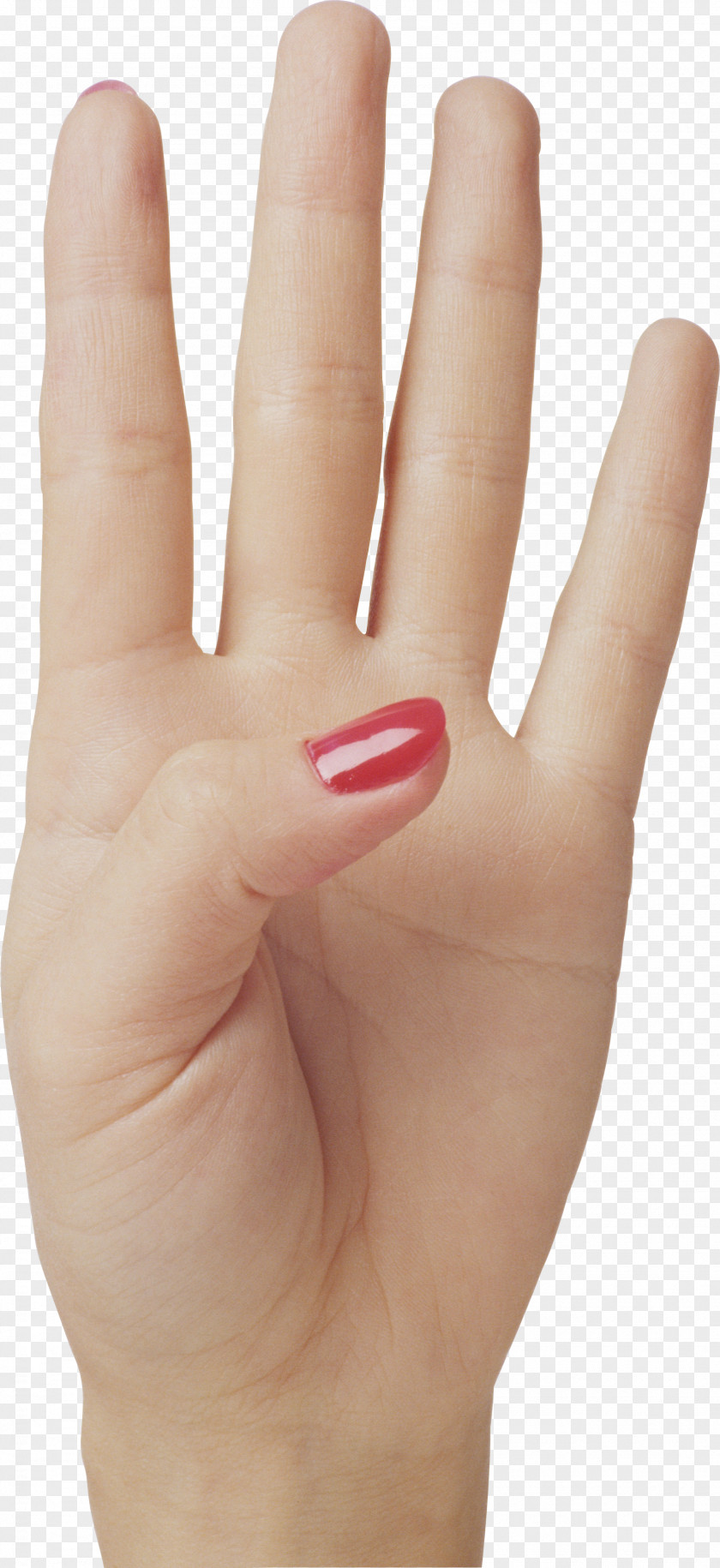 Hands , Hand Image Free Chunk Computer File PNG
