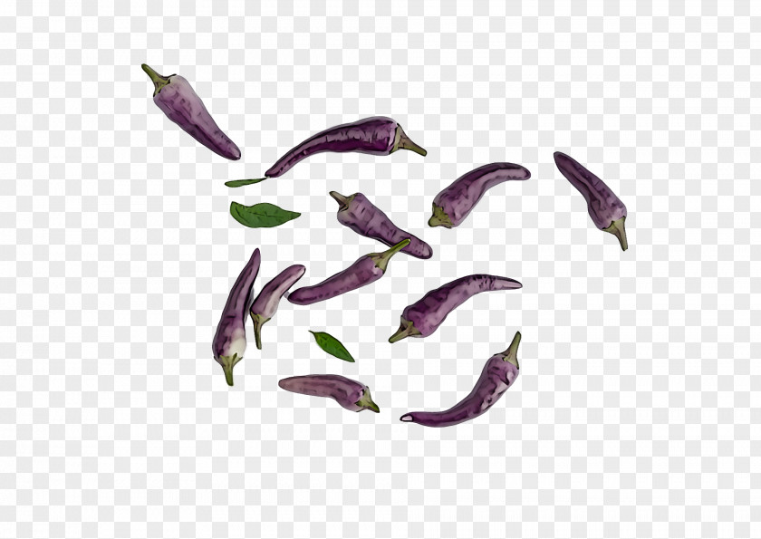Magenta Purple Violet Logo PNG