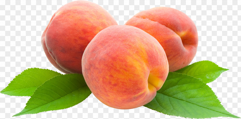 Peach Image Juice Clip Art PNG