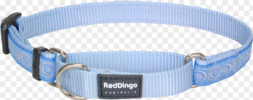 Red Collar Dog Martingale Dingo PNG