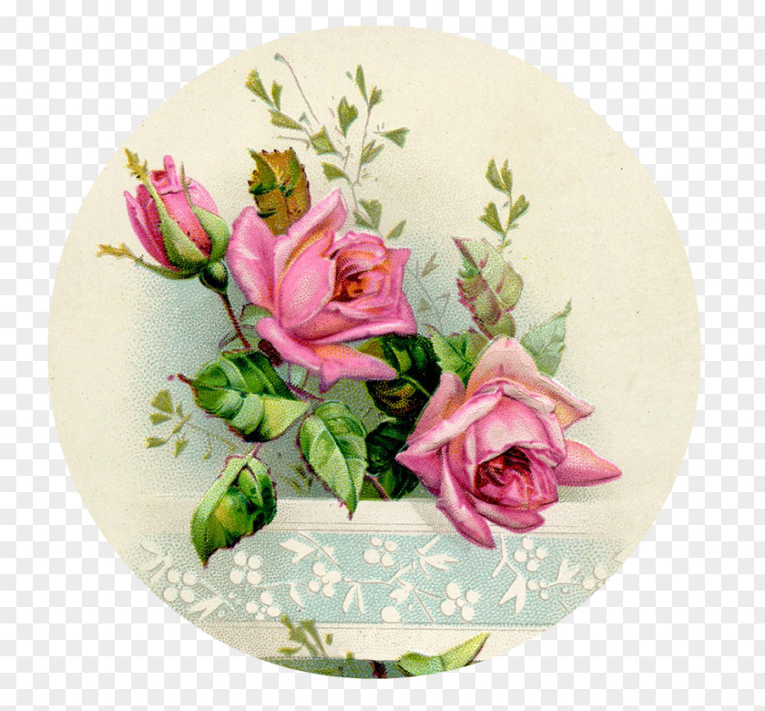 Rose Greeting & Note Cards Flower Post Gift PNG
