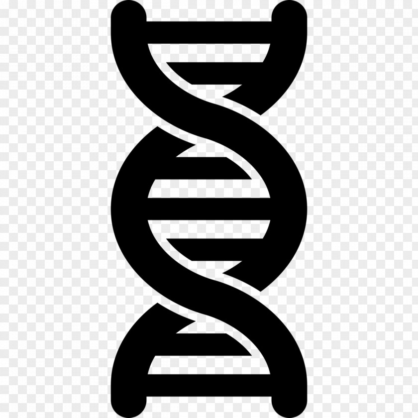 Vector DNA Nucleic Acid Double Helix Genetic Testing Genetics PNG
