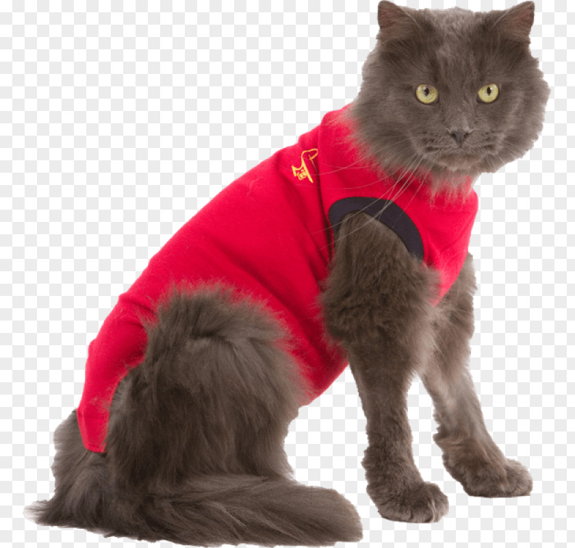 Cat T-shirt Dog Veterinarian PNG